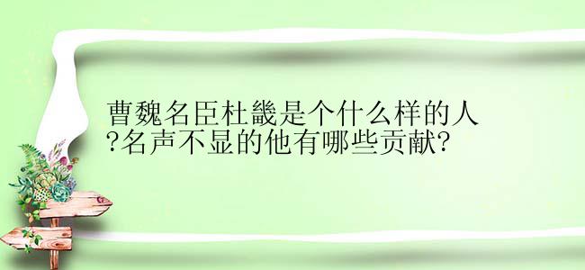 曹魏名臣杜畿是个什么样的人?名声不显的他有哪些贡献?