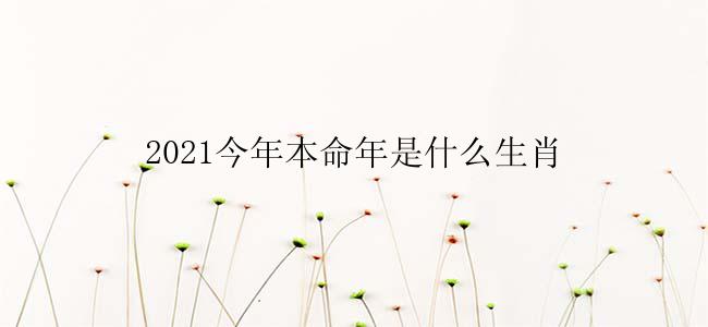 2021今年本命年是什么生肖