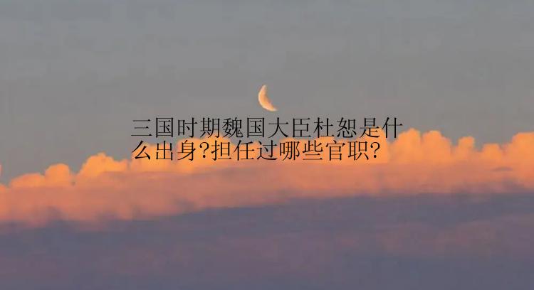 三国时期魏国大臣杜恕是什么出身?担任过哪些官职?