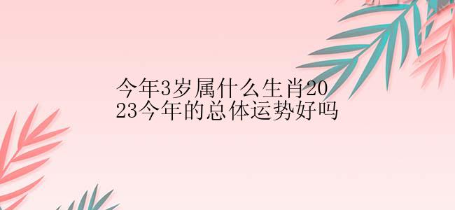 今年3岁属什么生肖2023今年的总体运势好吗