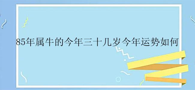 85年属牛的今年三十几岁今年运势如何