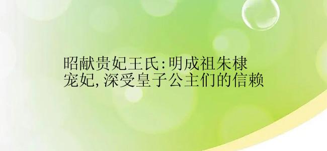 昭献贵妃王氏:明成祖朱棣宠妃,深受皇子公主们的信赖