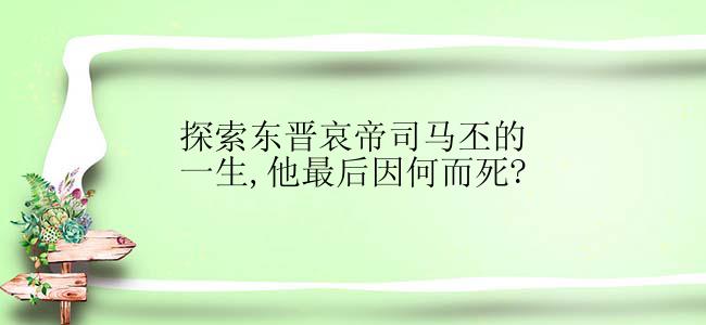 探索东晋哀帝司马丕的一生,他最后因何而死?