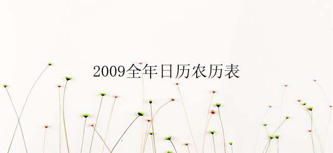 2009全年日历农历表