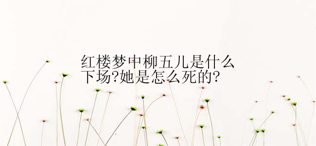 红楼梦中柳五儿是什么下场?她是怎么死的?