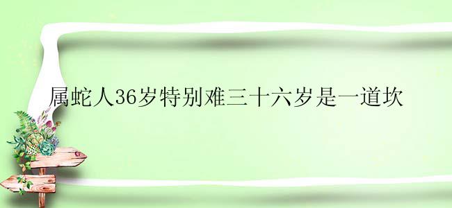 属蛇人36岁特别难三十六岁是一道坎