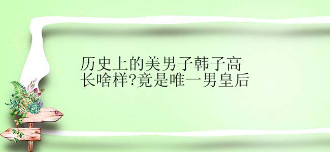 历史上的美男子韩子高长啥样?竟是唯一男皇后