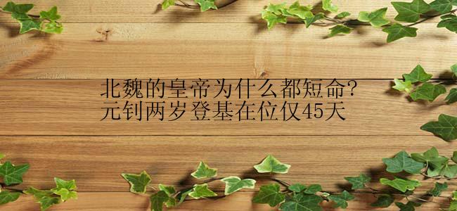 北魏的皇帝为什么都短命?元钊两岁登基在位仅45天