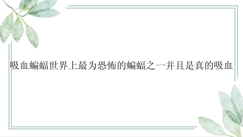 吸血蝙蝠世界上最为恐怖的蝙蝠之一并且是真的吸血