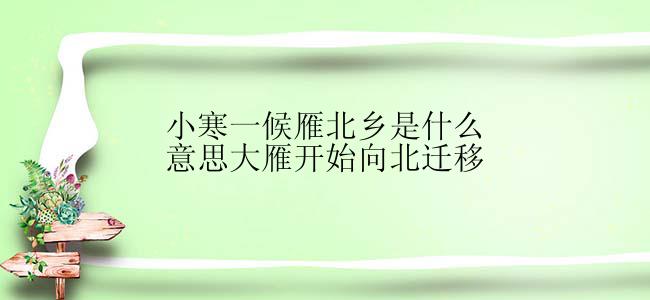 小寒一候雁北乡是什么意思大雁开始向北迁移