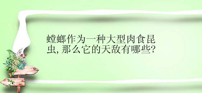 螳螂作为一种大型肉食昆虫,那么它的天敌有哪些?