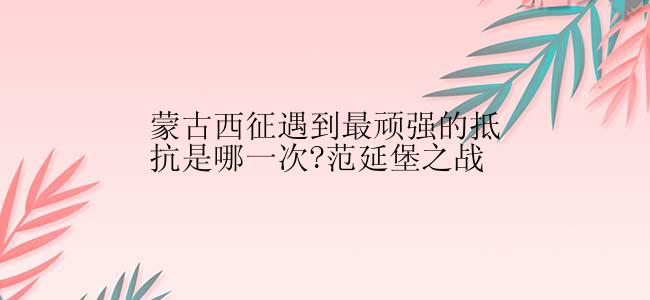 蒙古西征遇到最顽强的抵抗是哪一次?范延堡之战