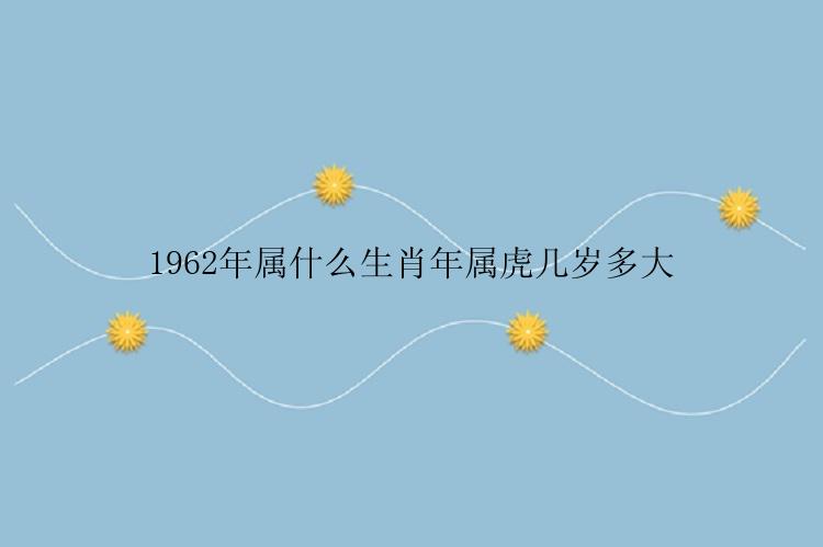 1962年属什么生肖年属虎几岁多大