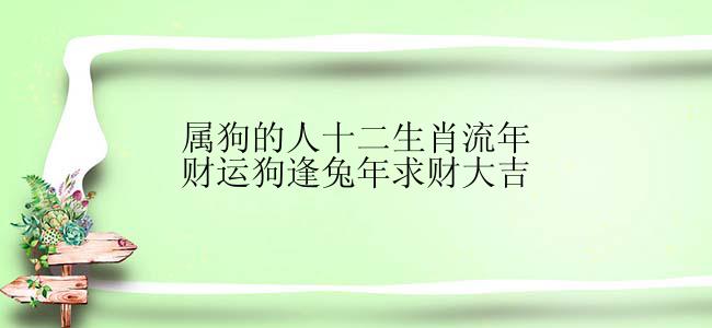 属狗的人十二生肖流年财运狗逢兔年求财大吉