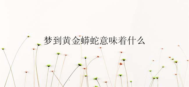 梦到黄金蟒蛇意味着什么