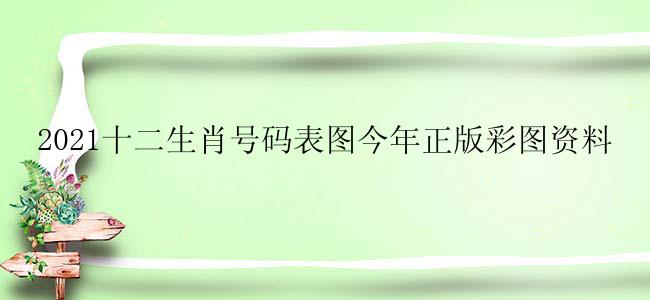 2021十二生肖号码表图今年正版彩图资料