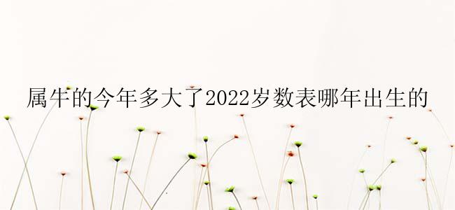 属牛的今年多大了2022岁数表哪年出生的