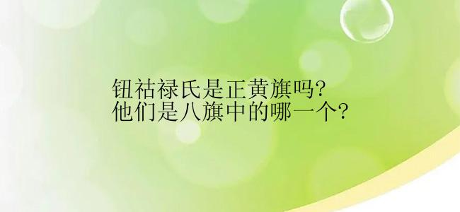 钮祜禄氏是正黄旗吗?他们是八旗中的哪一个?