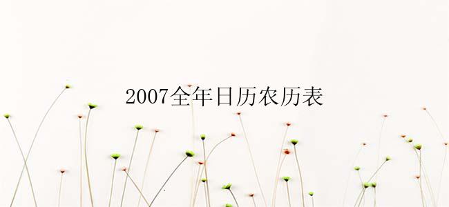 2007全年日历农历表