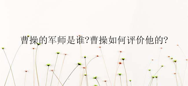 曹操的军师是谁?曹操如何评价他的?