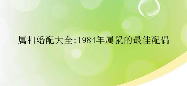 属相婚配大全:1984年属鼠的最佳配偶