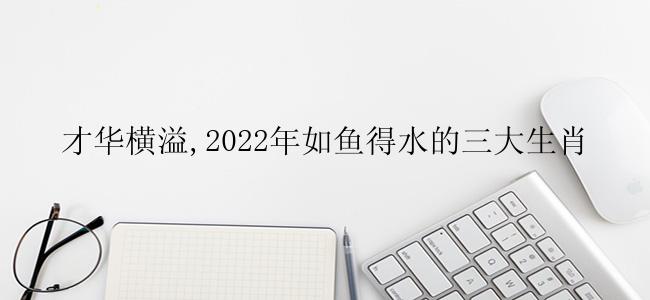 才华横溢,2022年如鱼得水的三大生肖