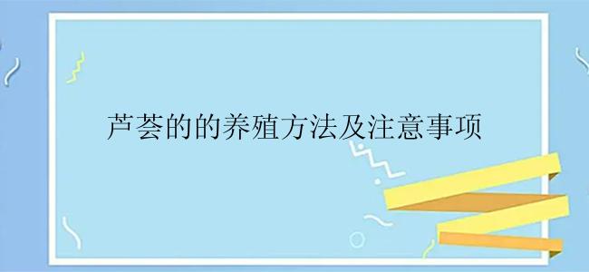 芦荟的的养殖方法及注意事项