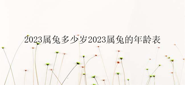 2023属兔多少岁2023属兔的年龄表