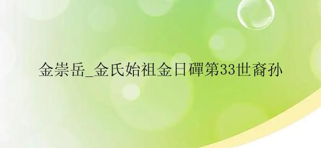 金崇岳_金氏始祖金日磾第33世裔孙