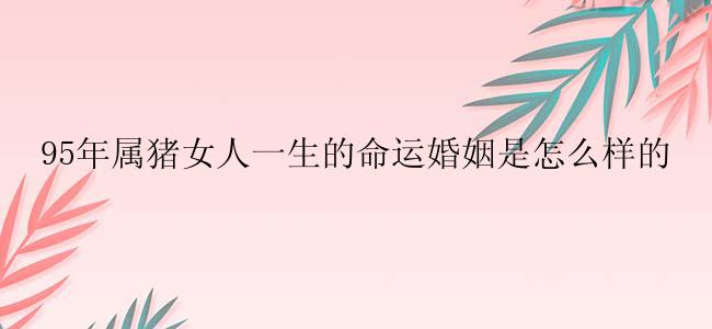 95年属猪女人一生的命运婚姻是怎么样的