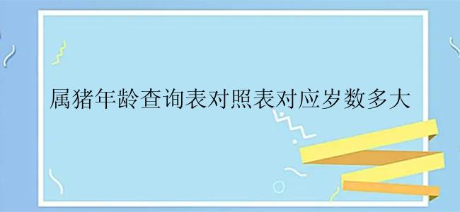 属猪年龄查询表对照表对应岁数多大