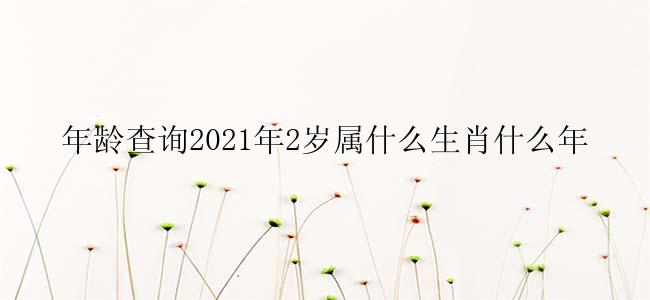 年龄查询2021年2岁属什么生肖什么年