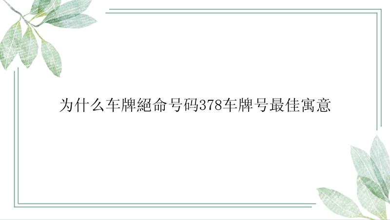 为什么车牌絕命号码378车牌号最佳寓意