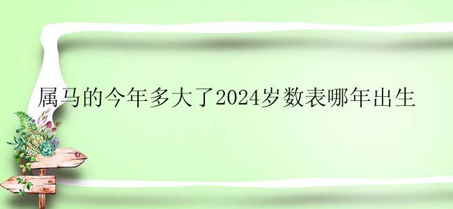 属马的今年多大了2024岁数表哪年出生