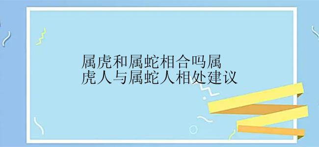 属虎和属蛇相合吗属虎人与属蛇人相处建议