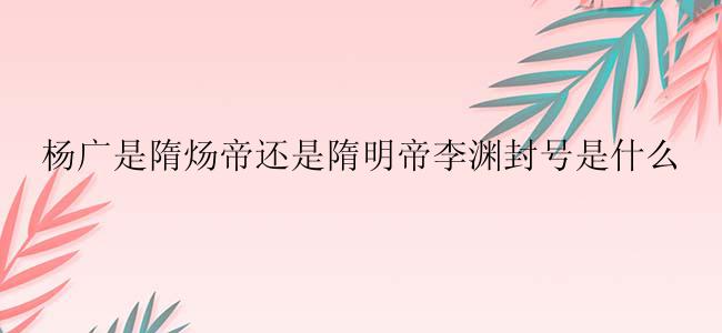 杨广是隋炀帝还是隋明帝李渊封号是什么