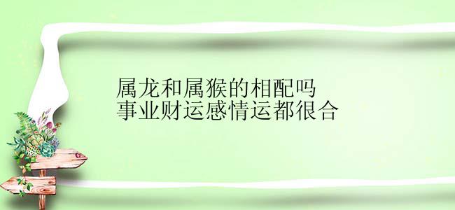 属龙和属猴的相配吗事业财运感情运都很合