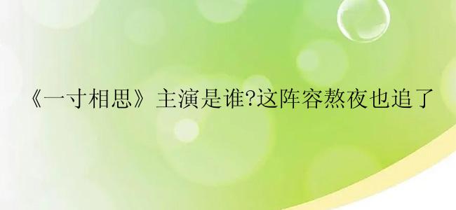 《一寸相思》主演是谁?这阵容熬夜也追了