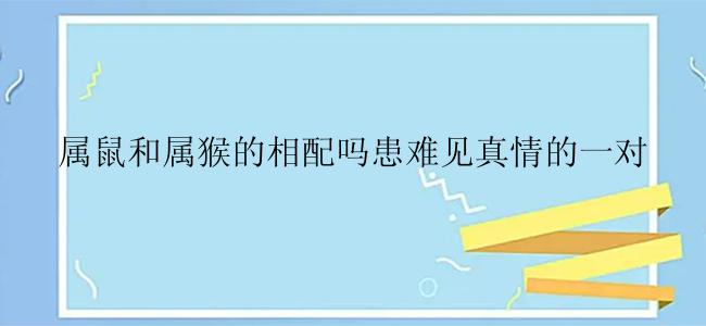 属鼠和属猴的相配吗患难见真情的一对