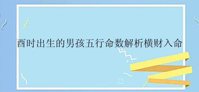 酉时出生的男孩五行命数解析横财入命