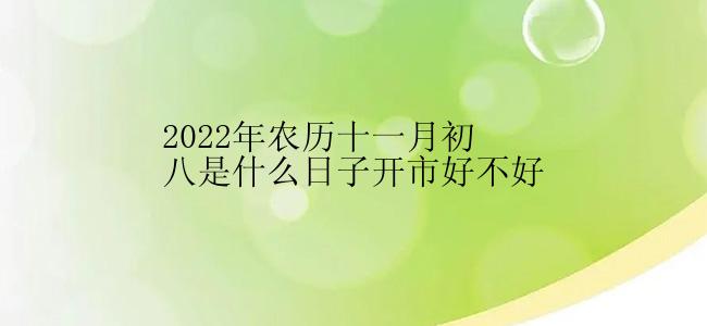 2022年农历十一月初八是什么日子开市好不好