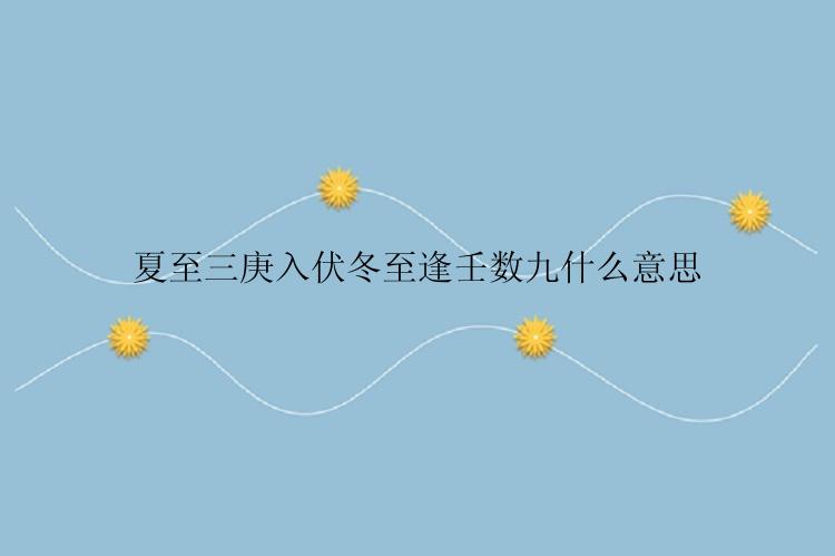 夏至三庚入伏冬至逢壬数九什么意思