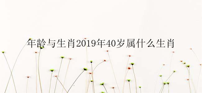 年龄与生肖2019年40岁属什么生肖