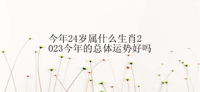 今年24岁属什么生肖2023今年的总体运势好吗