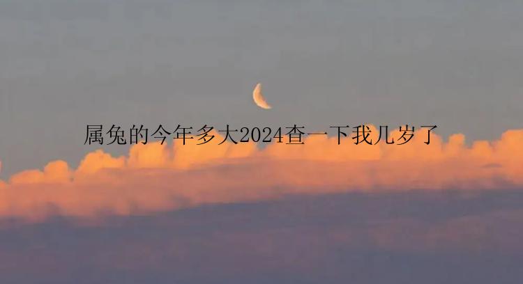 属兔的今年多大2024查一下我几岁了