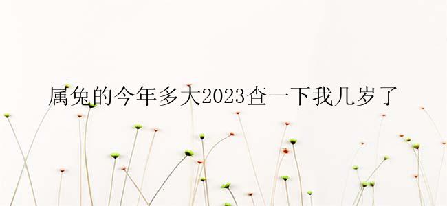 属兔的今年多大2023查一下我几岁了