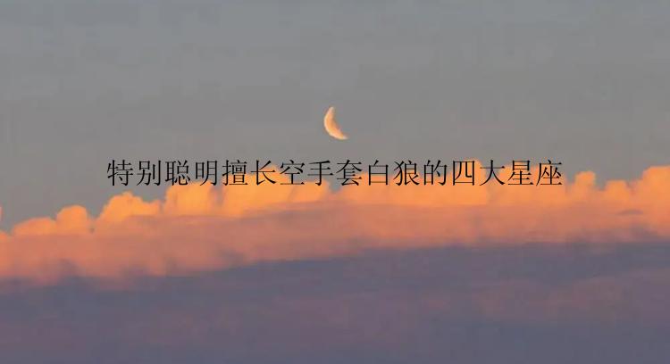 特别聪明擅长空手套白狼的四大星座