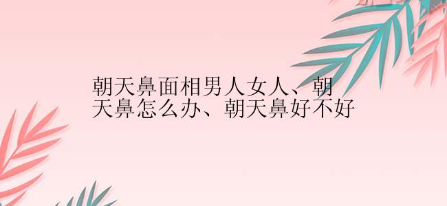 朝天鼻面相男人女人、朝天鼻怎么办、朝天鼻好不好