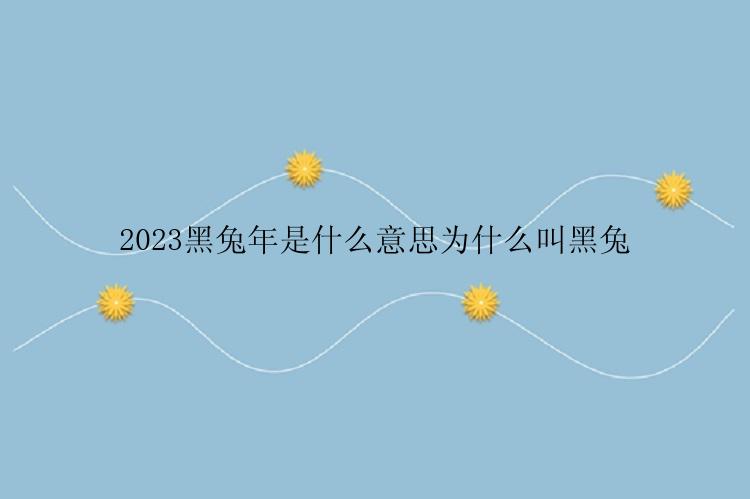 2023黑兔年是什么意思为什么叫黑兔