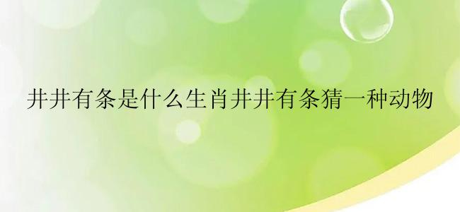 井井有条是什么生肖井井有条猜一种动物